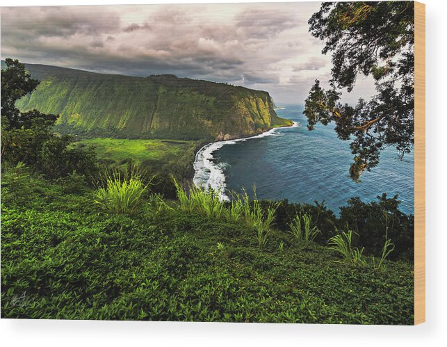 Hawaii Wood Print featuring the photograph Waipio Valley by Thomas Ashcraft