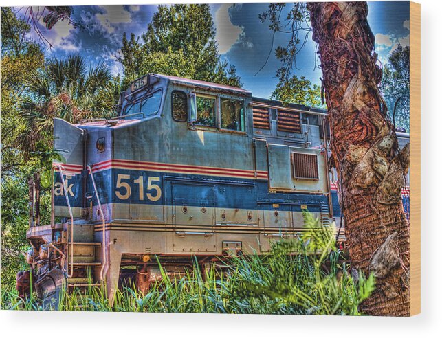 Trains Wood Print featuring the photograph Waiting In The Woods by Joetta West
