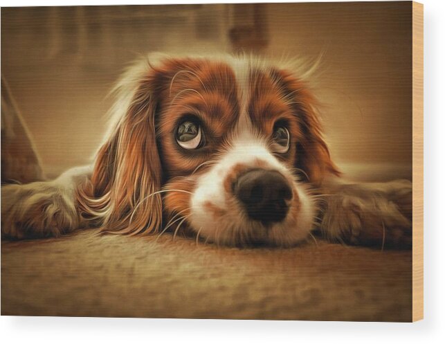 Oil Painting Wood Print featuring the painting Waiting Pup by Harry Warrick