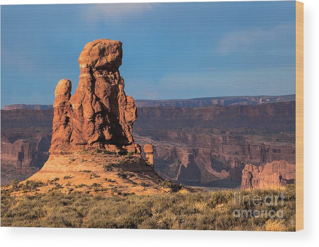Utah Wood Print featuring the photograph Wake Up Call by Jim Garrison