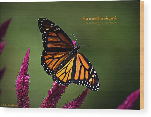 Butterfly Wood Print featuring the photograph Walk in the Park by Kurt Keller