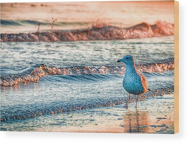 Ocean Wood Print featuring the photograph Walking On Sunshine by Mathias Janke