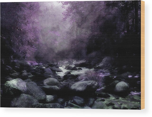 Creek Wood Print featuring the photograph Walking Upstream by Mike Eingle