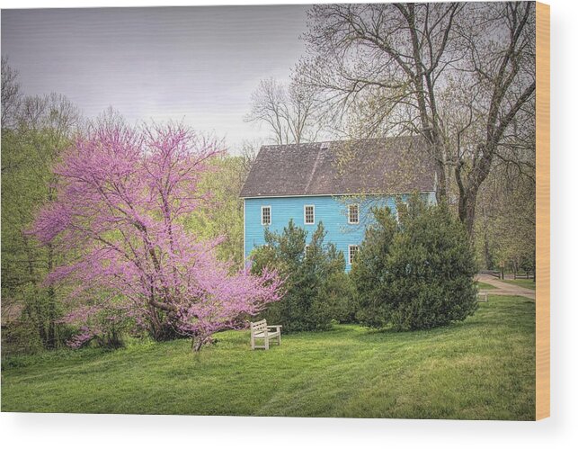 Walnford Wood Print featuring the photograph Walnford In Spring by Kristia Adams