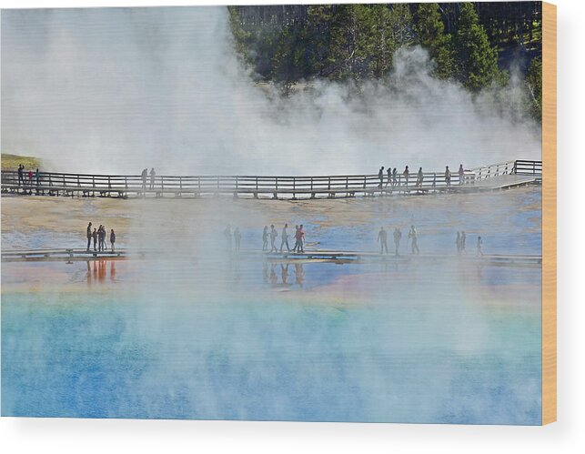 Yellowstone Wood Print featuring the photograph Wandering and Wondering at Grand Prismatic Spring by Bruce Gourley