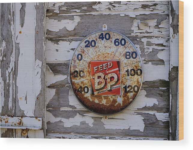 Thermometer Wood Print featuring the photograph Warm Day by Brooke Bowdren
