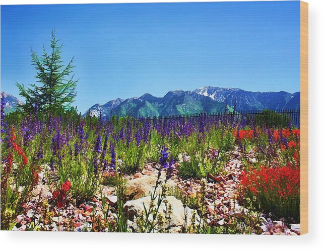 Wasatch Mountains Wood Print featuring the photograph Wasatch Mountains In Spring by Tracie Schiebel