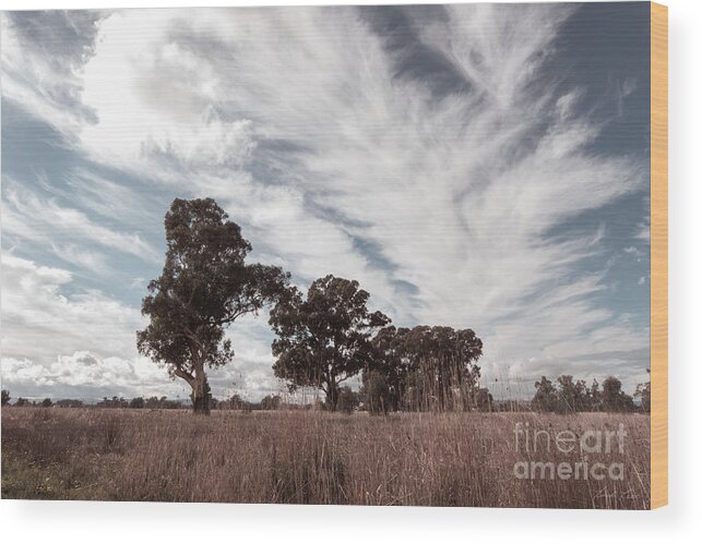 Clouds Wood Print featuring the photograph Watching clouds float across the sky by Linda Lees