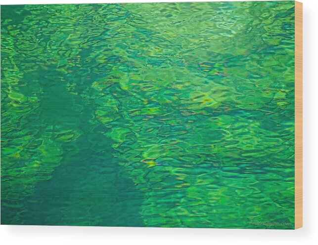 Green Wood Print featuring the photograph Water Green by Britt Runyon