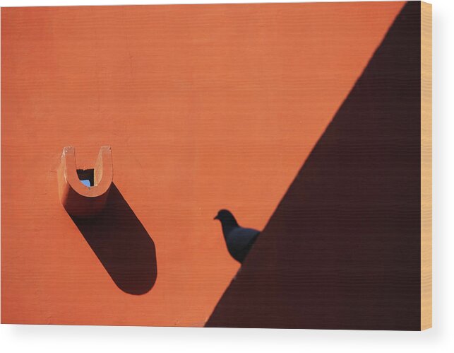 Shadow Photography Wood Print featuring the photograph Water Outlet Vs The Pigeon by Prakash Ghai