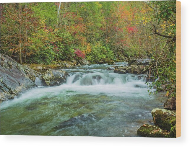 Smoky Mountains Wood Print featuring the photograph Waterfall on Little Pigeon River Smoky Mountains by Carol Mellema