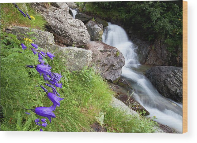 Wild Wood Print featuring the photograph Waterfalls and Bluebells by Mircea Costina Photography
