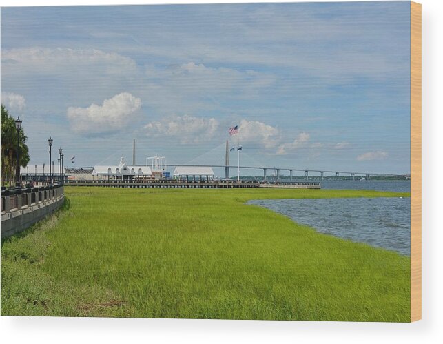 Charleston Wood Print featuring the photograph Waterfront Park Charleston by Greg Joens