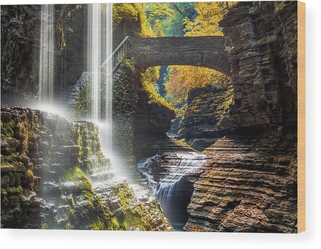 Finger Lakes Wood Print featuring the photograph Watkins Glen State Park by Mihai Andritoiu