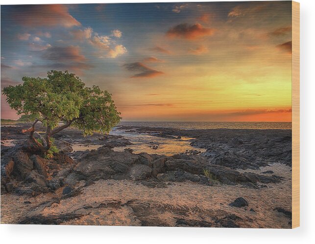 Sunset Wood Print featuring the photograph Wawaloli Beach Sunset by Susan Rissi Tregoning