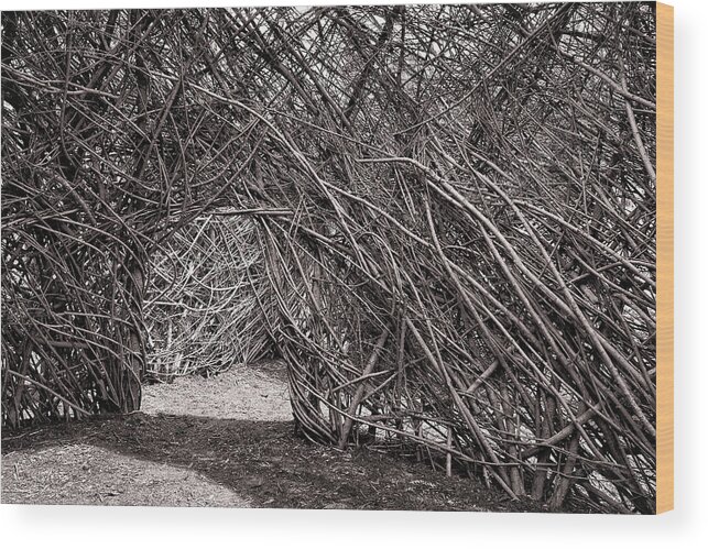 Sticks Wood Print featuring the photograph Way Out by Jason Wolters