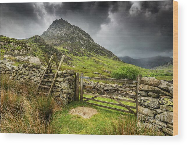 Tryfan Mountain Wood Print featuring the photograph Way To Tryfan Mountain by Adrian Evans