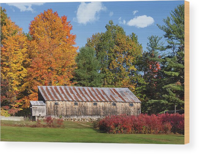 Landscape Wood Print featuring the photograph Weathered Barn with Rusty Tin Roof by Betty Denise