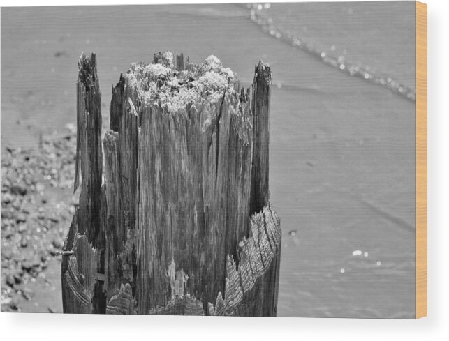 Wood Wood Print featuring the photograph Weathered Wood by Cynthia Guinn