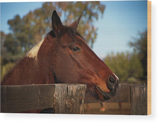 Horse Wood Print featuring the photograph Well Hello There by Teresa Wilson