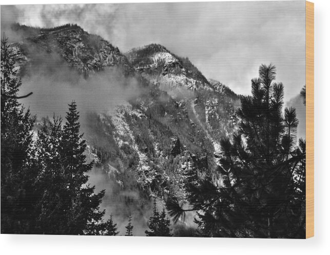 National Wood Print featuring the photograph Wenatchee National Forest Black and White 2 by Pelo Blanco Photo