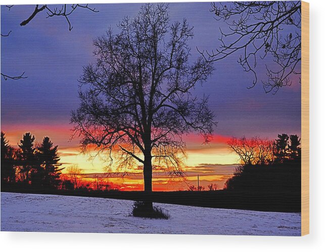 Sunset Wood Print featuring the photograph West by Dani McEvoy
