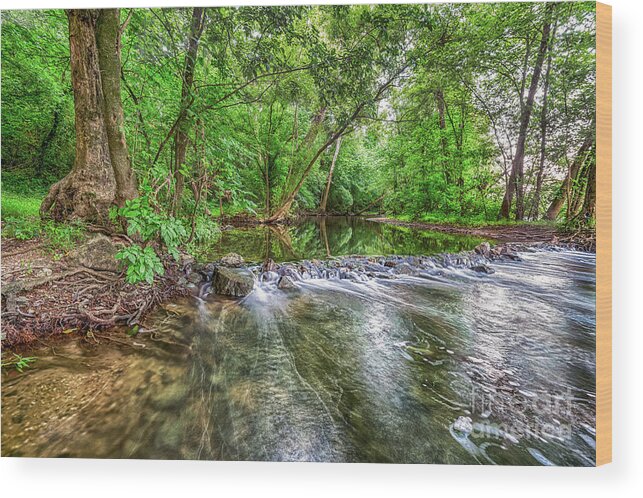 Rock Wood Print featuring the photograph West Fork Rock Spillway by David Smith