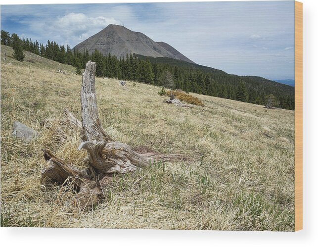 West Spanish Peak Wood Print featuring the photograph West Spanish Peak Meadow by Aaron Spong