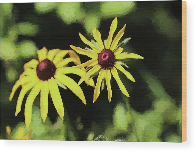 Yellow Wild Flowers Wood Print featuring the photograph Wetland Daisies Painterly 070818 by Mary Bedy