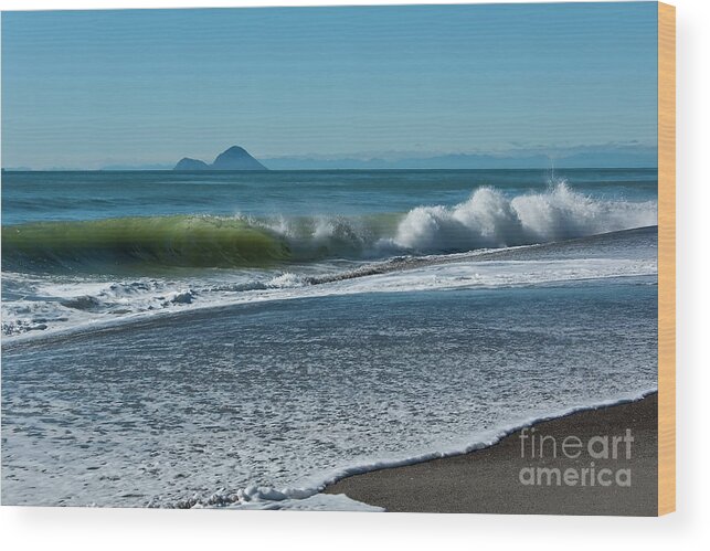 Beach Wood Print featuring the photograph Whale Island by Werner Padarin