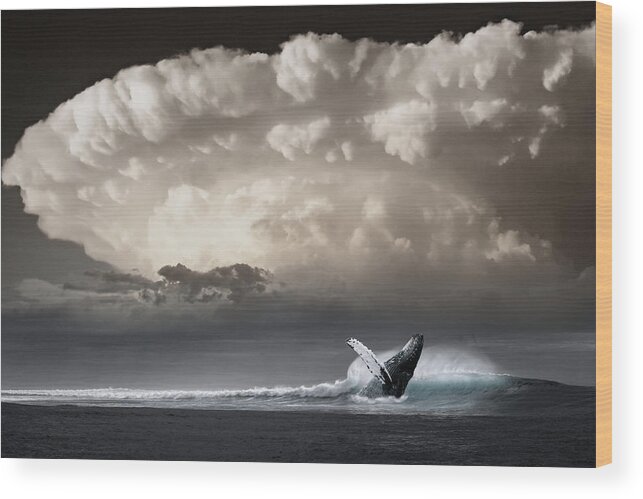 Whale Wood Print featuring the photograph Whale Storm by Ally White