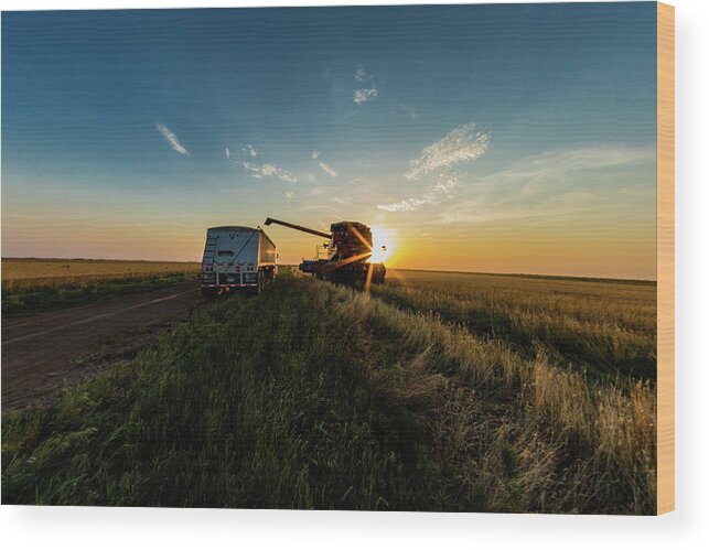Jay Stockhaus Wood Print featuring the photograph Wheat in the Truck by Jay Stockhaus