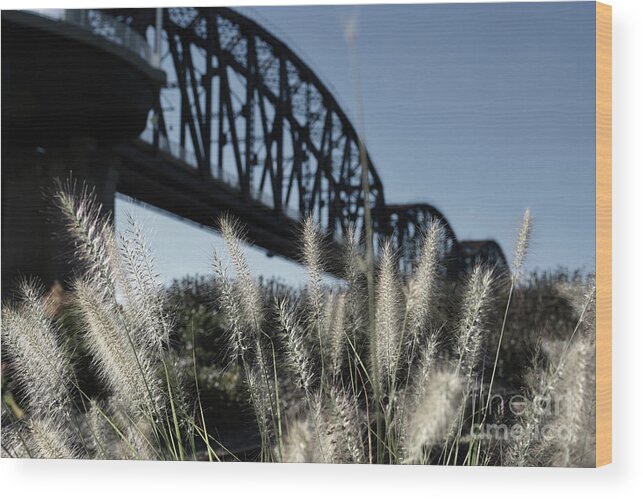 Royal Photography Wood Print featuring the photograph Wheet Bridge by FineArtRoyal Joshua Mimbs