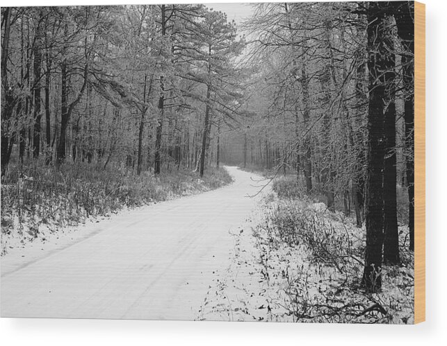 Winter Wood Print featuring the photograph Where will it lead by Jean Macaluso