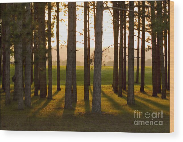Landscape Wood Print featuring the photograph Whispers of the Trees by Inspired Arts