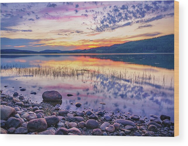 Europe Wood Print featuring the photograph White night sunset on a Swedish lake by Dmytro Korol