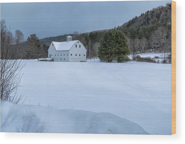 Brookline Vermont Wood Print featuring the photograph White On White by Tom Singleton
