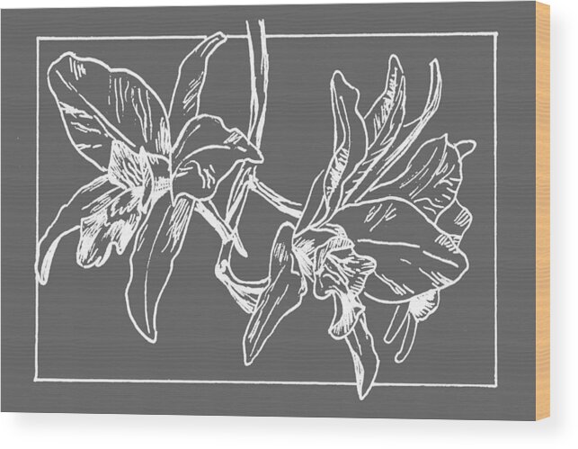 Orchid Wood Print featuring the drawing White Orchid on Transparent Background by Masha Batkova