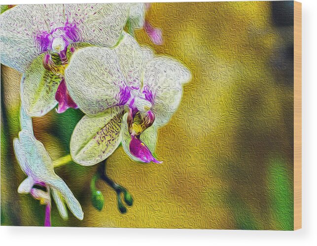 Flower Wood Print featuring the photograph White Orchids Oil Painting Fusion by John Williams
