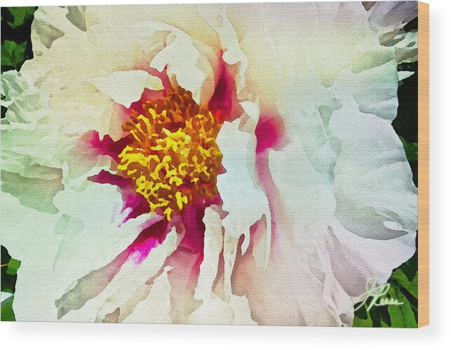 Close Up Photograph Of White Wood Print featuring the painting White Peony by Joan Reese