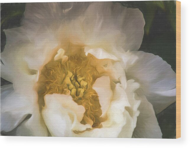 Garden Wood Print featuring the digital art White Peony by Teresa Wilson