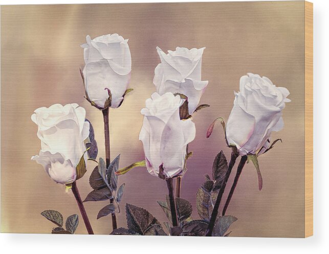 Roses Wood Print featuring the photograph White Rose Buds by Maria Coulson