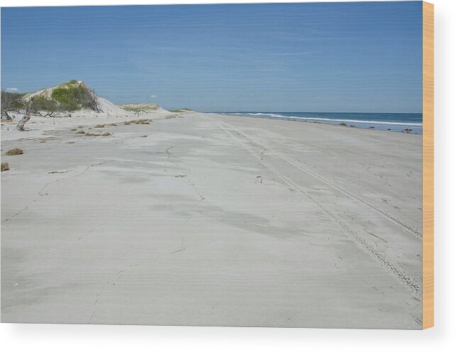 Beach Wood Print featuring the photograph White Sandy Beach by Donna Doherty