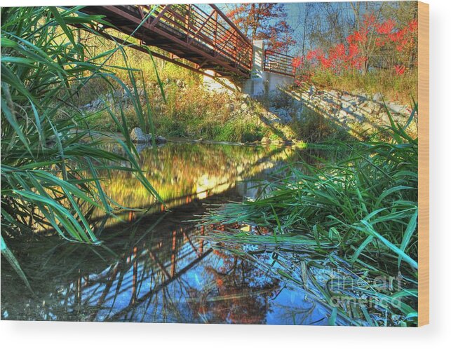 White Water State Park Wood Print featuring the photograph White Water State Park 1 by Jimmy Ostgard