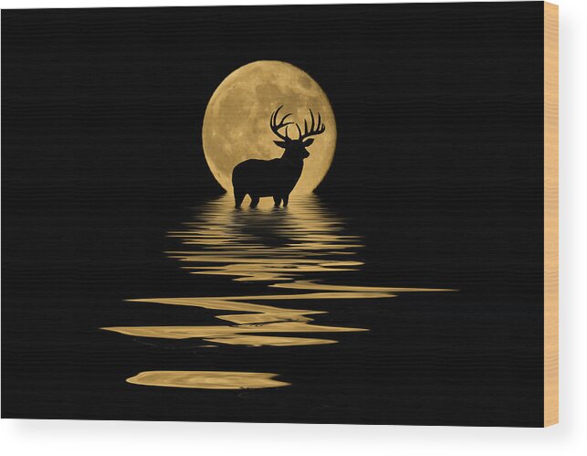 Dark Wood Print featuring the mixed media Whitetail Deer in the Moonlight by Shane Bechler