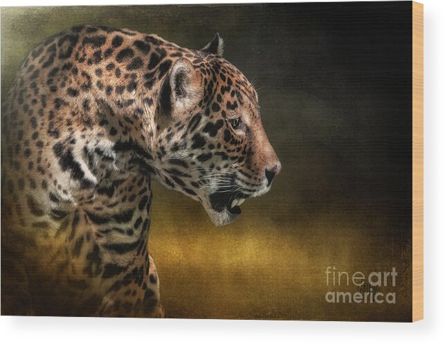 Jaguar Wood Print featuring the photograph Who Goes There by Lois Bryan