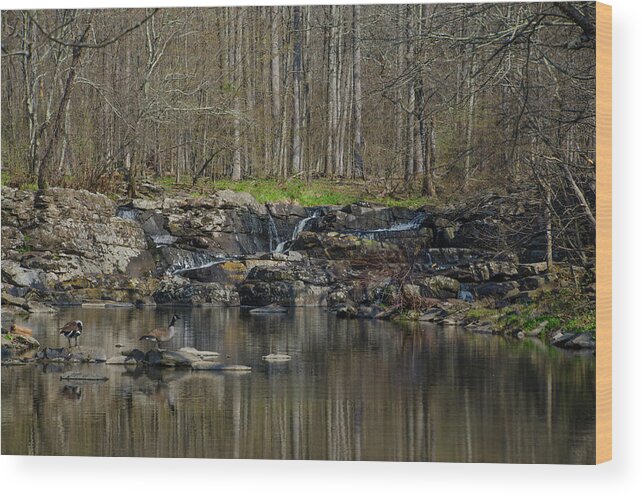 Wickecheoke Wood Print featuring the photograph Wickecheoke Creek - New Jersey by Bill Cannon