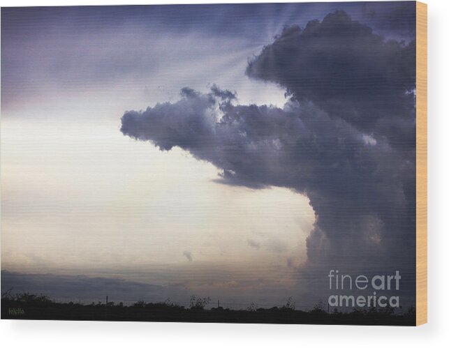 Sky Scape Photography Wood Print featuring the photograph Wild Blue Yonder by Ella Kaye Dickey