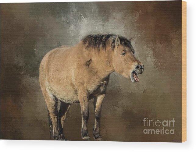 Przewalski's Horse Wood Print featuring the photograph Wild Horse by Eva Lechner