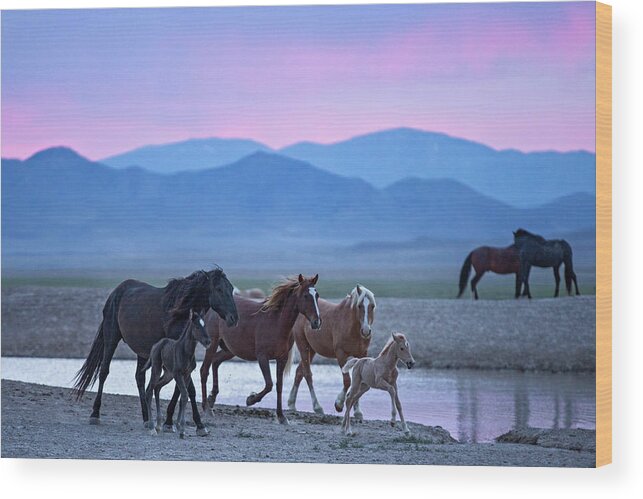 Wild Horse Wood Print featuring the photograph Wild Horse Sunrise by Wesley Aston